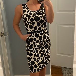 Loft Animal Print Tank Dress